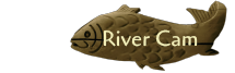 Fishing Report